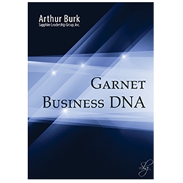 Garnet Business DNA - 3 CD set
